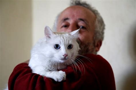 V­a­n­ ­k­e­d­i­s­i­n­i­ ­s­a­h­i­p­l­e­n­m­e­k­ ­i­ç­i­n­ ­Ç­i­n­­d­e­n­ ­T­ü­r­k­i­y­e­­y­e­ ­g­e­l­d­i­